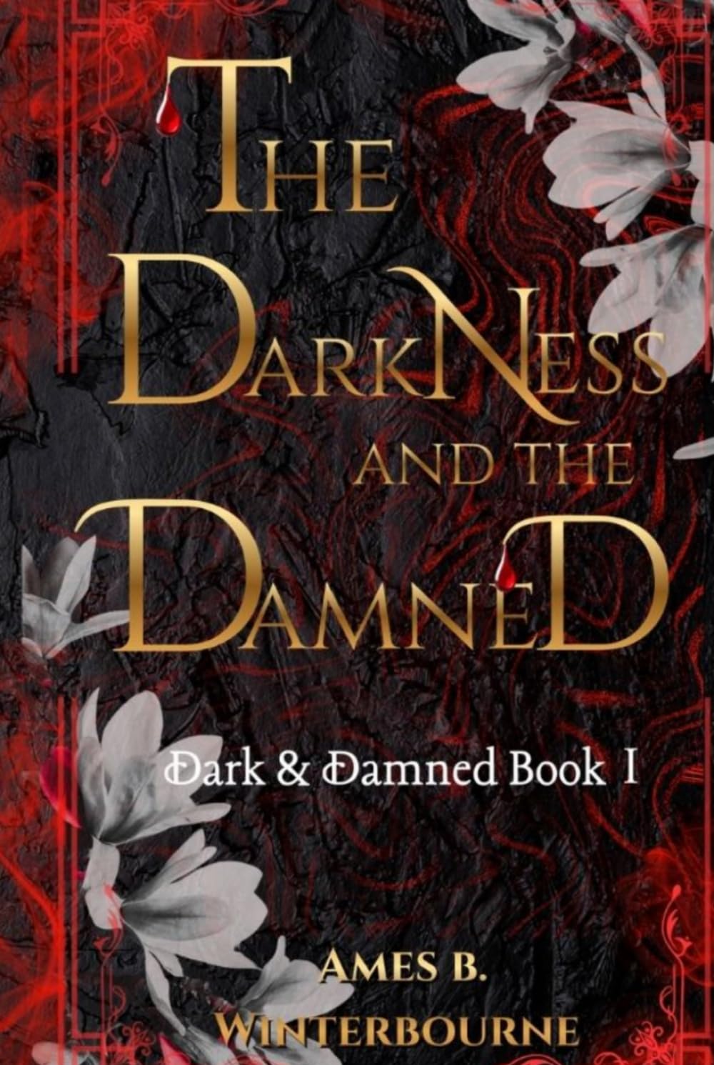 READY TO SHIP • The Darkness and the Damned • by Ames B. Winterbourne •  SIGNED w/ SWAG