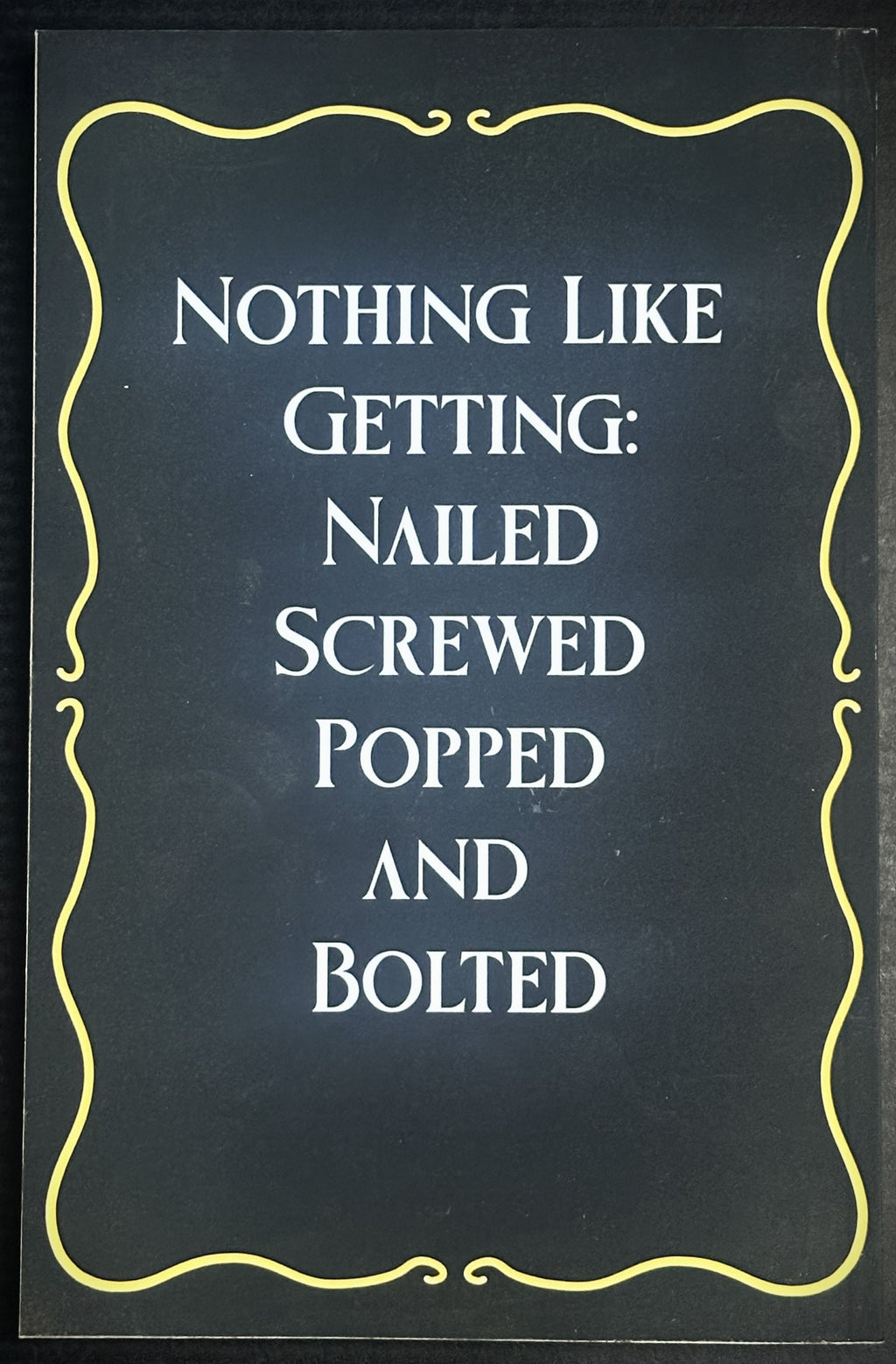 READY TO SHIP • Objects of Affection Omnibus • by Ames B. Winterbourne • SIGNED Paperback w/ SWAG
