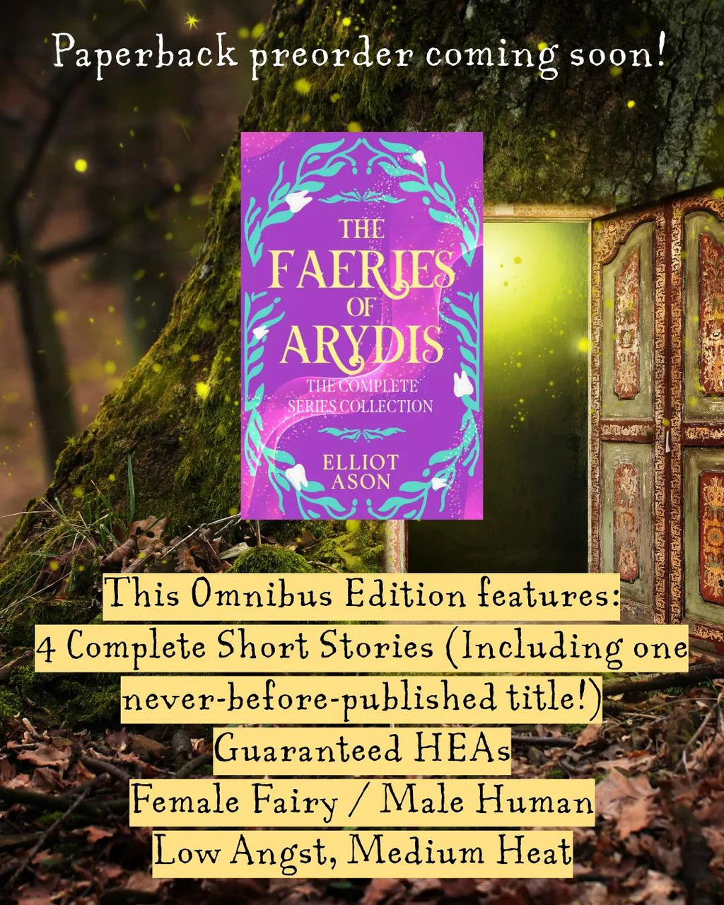PREORDER The Faeries of Ayrdis Complete Series Omnibus by Elliot Ason - Signed Edition Paperback - Monster Stuff Store