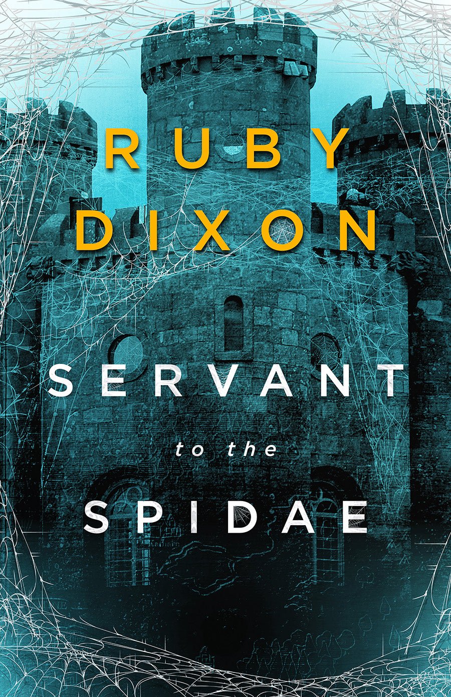 READY TO SHIP • Aspect and Anchor Series • Ruby Dixon • Paperback - Monster Stuff Store