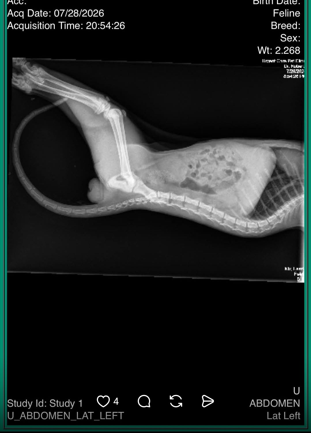 Fundraiser Raffle for Heather Nix • Veterinary Emergency Bills • Prize basket: Sapphic Books