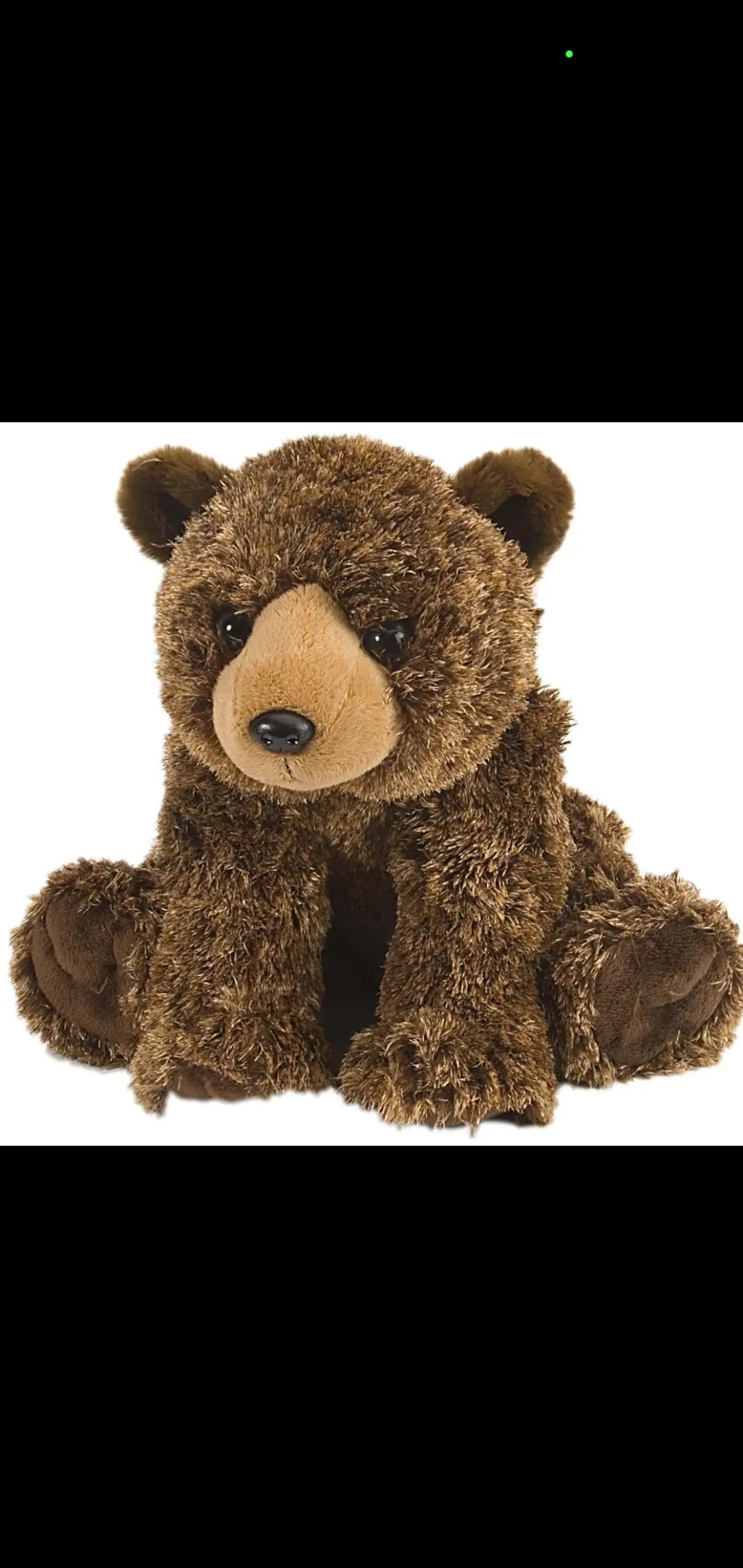 Cozy Like Honey • by Clare Marlowe • Signed Paperback • 12" Wild Republic ECO Bear Plushie Bundle Option